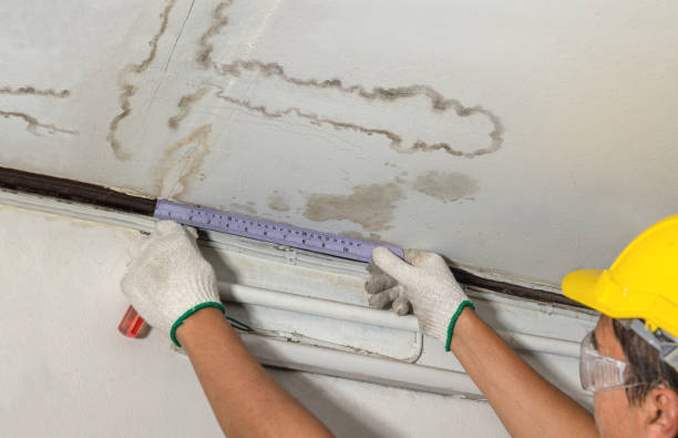 Reliable Mold Remediation contractor in Summerville, GA by Water Damage Irwin